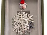a silver snowflake ornament in a green box