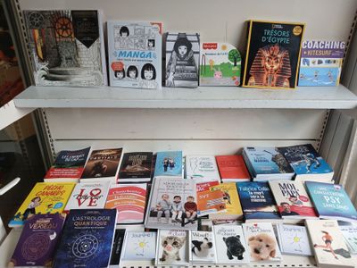 many books on a shelf in a book store