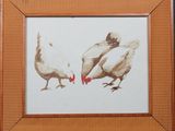 deux poulets qui se tiennent l'un à côté de l'autre