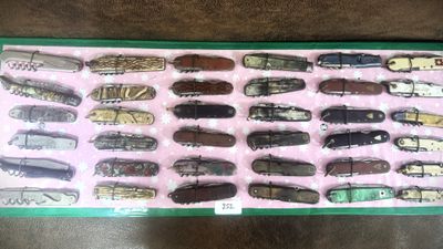 une boîte sur laquelle figurent de nombreux types de coléoptères différents