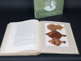 an open book with a picture of a sea turtle on it