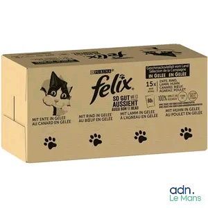 une image représentant une boîte de croquettes pour chien sur laquelle figure l'empreinte d'une patte de chat