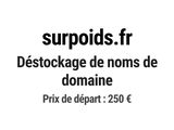 Photo 1/1 du lot