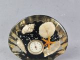 une horloge posée sur un coquillage