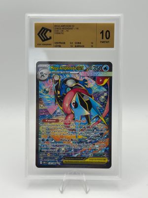 une carte sur laquelle figure l'image d'une carte Pokémon