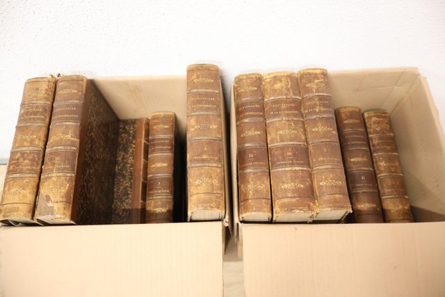 Lot de 2 cartons : Dictionnaire de la Conversation et de la lectu...
