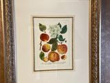 une photo d'une photo représentant des fruits accrochés à un mur