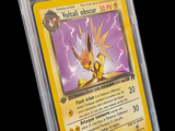 une image d'une carte Pokémon dans un étui en plastique