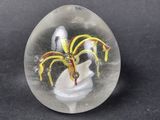 a glass ball with a spider inside of it