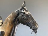 a statue of a man riding a horse holding a rope