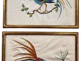 two framed pictures of a rooster and a bird on a branch