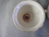 a close up of a cup and saucer on a table