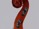 the back of a violin with a fiddle on it ' s neck
