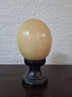 an egg sitting on top of a wooden table next to a white wall