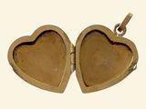 two heart shaped lockes that are open on a white background