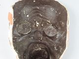 an image of a chocolate mask on a white surface