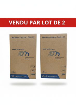 Lot de 2 - Lot de deux souris d'ordinateur sans fils - Ce lo…