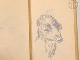 a drawing of a llama in a book
