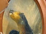 une peinture représentant un coq sur un miroir dans une pièce
