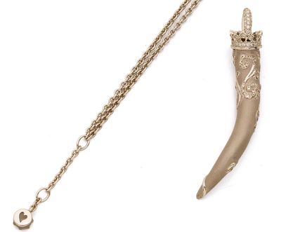 une image représentant un collier orné d'une longue corne suspendue à une chaîne