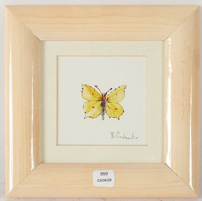 une photo représentant un papillon jaune, encadrée dans un cadre en bois