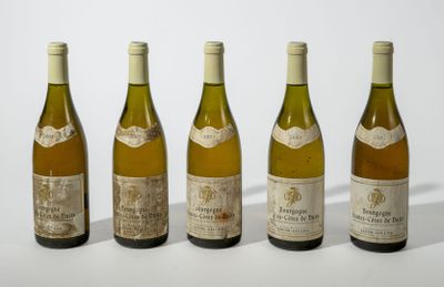 5B - BOURGOGNE HAUTES CÔTES DE NUITS Blanc (e.