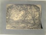 drawing of a landscape with trees and a road