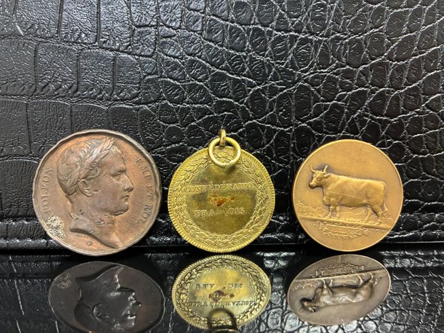 Médaille en cuivre doré Confédération des François 1790, Médaille