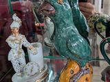quelqu'un en train de prendre une photo d'une vitrine sur laquelle se trouve un oiseau