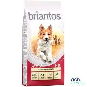 Alimentation pour chiens adultes de grande race Briantos