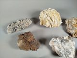 five different types of rocks on a white surface