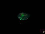 a black oplite in the dark with a green glow