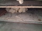 a cat that is laying on the floor in an oven