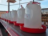many plastic jugs lined up on a conveyor belt