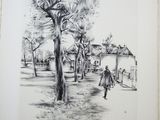 drawing of a person walking in a park with a tree