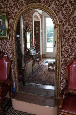 un chien qui se tient devant un miroir