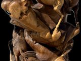 statue of a horse with a rider on it ' s back on a pile of horses