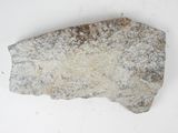 a rock that is sitting on a white surface