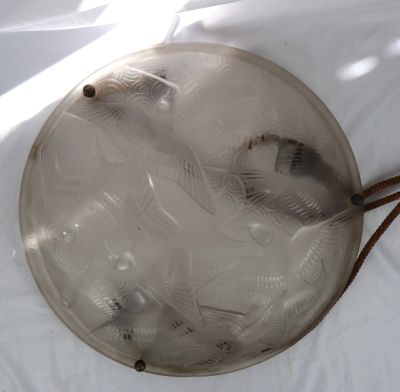 une assiette en verre contenant du poisson, posée sur une surface blanche