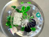 a glass bowl with a plant inside of it on a table