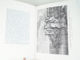 a person holding an open book with a picture on it
