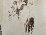 someone is holding a book with drawings of flowers on it