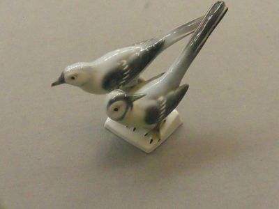 two birds that are sitting on top of each other