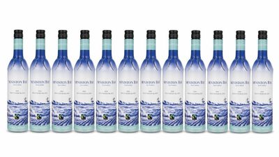 Lot de 12 sauvignons blanc 13 % en bouteilles