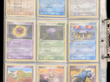 a lot of cards that are in a binder