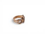 a close up of a ring with a tree branch on it