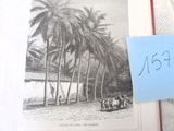 une photo d'une photo représentant une plage avec des palmiers
