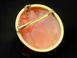 an image of a gold plated broochle with a pink stone in it