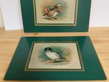 two framed pictures of ducks sitting on a table next to each other