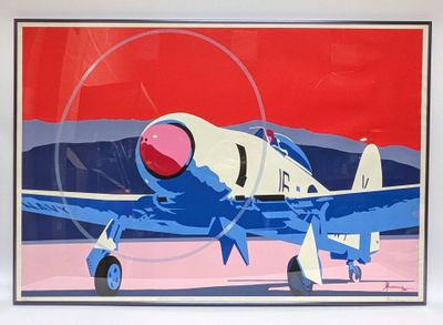 a picture of a picture of a plane on display
